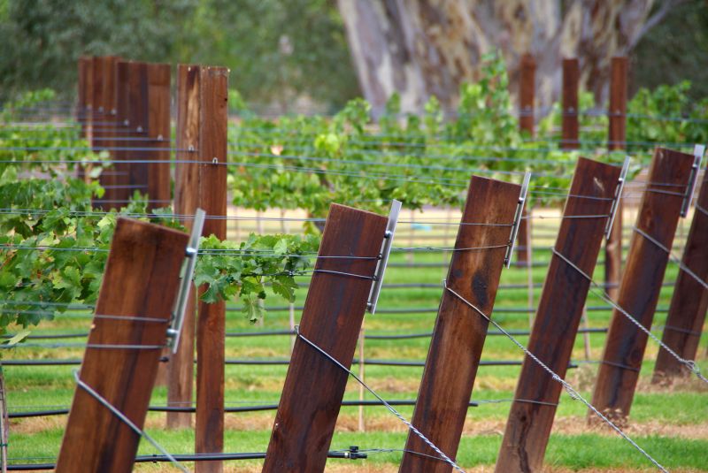 Wood Trellis Installation